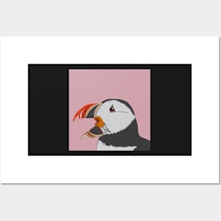 Atlantic Puffin Posters and Art